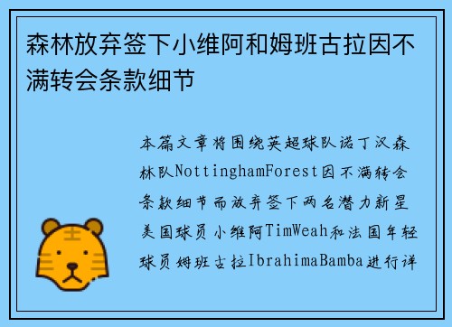 森林放弃签下小维阿和姆班古拉因不满转会条款细节