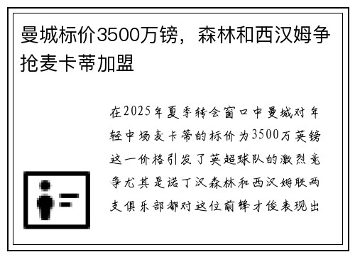 曼城标价3500万镑,森林和西汉姆争抢麦卡蒂加盟